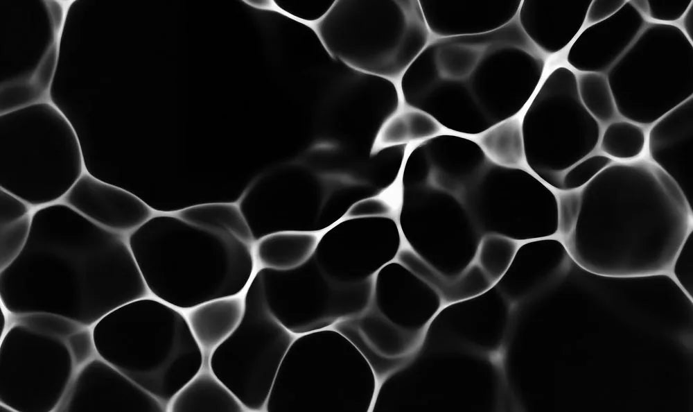 Cell structures under a microscope, black and white